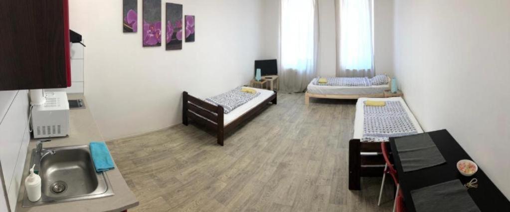 Apartments Near The Center With Privat Parking Brno Zewnętrze zdjęcie