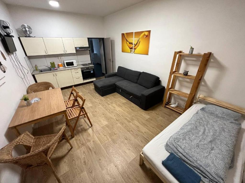 Apartments Near The Center With Privat Parking Brno Zewnętrze zdjęcie